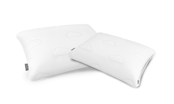 Bundle 2 Pillows White
